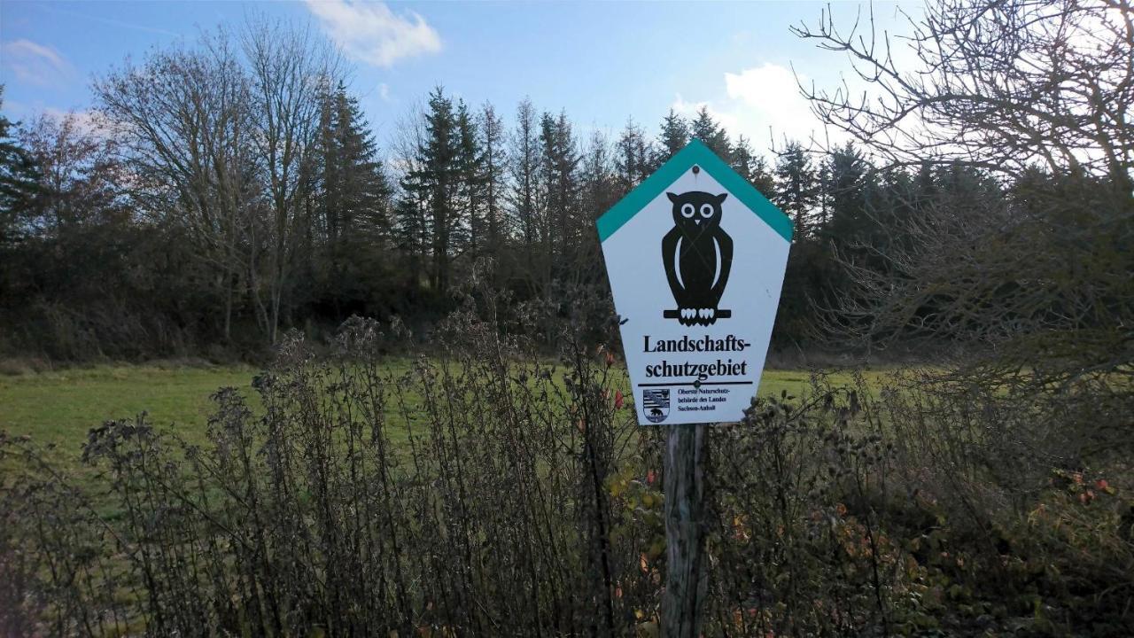 Landhaus Eva-Maria Villa Елбингероде Екстериор снимка